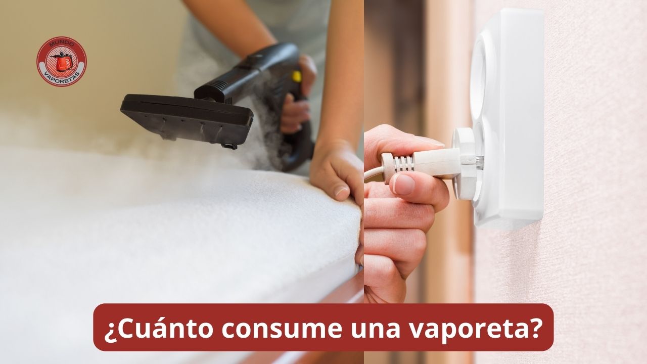 Cuánto consume una vaporeta