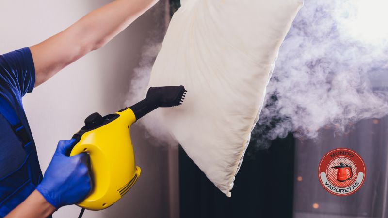 Limpiadora a vapor