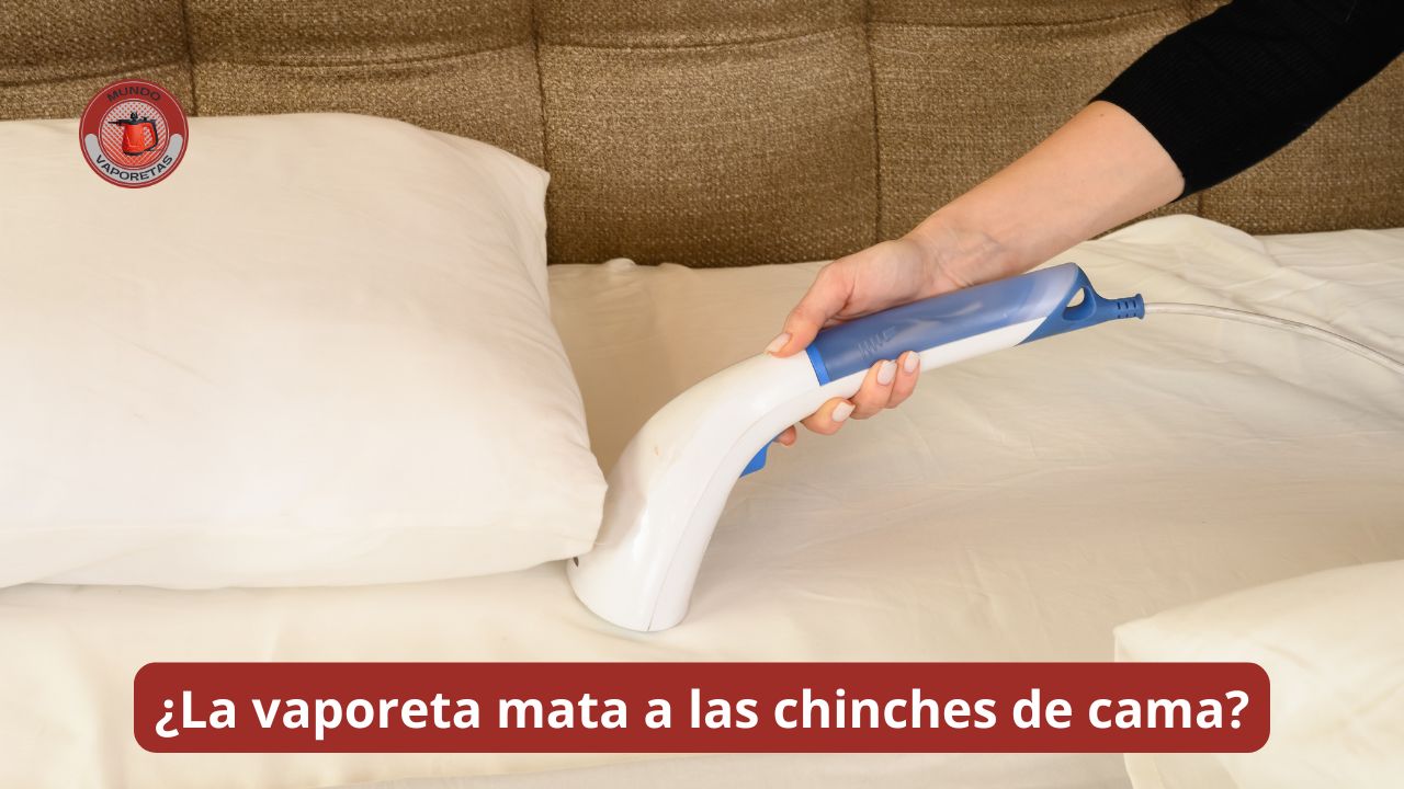 La vaporeta mata a las chinches de cama